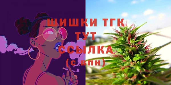 ПСИЛОЦИБИНОВЫЕ ГРИБЫ Болхов
