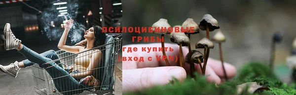 ГАЛЛЮЦИНОГЕННЫЕ ГРИБЫ Болотное