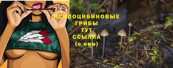 кристаллы Абаза