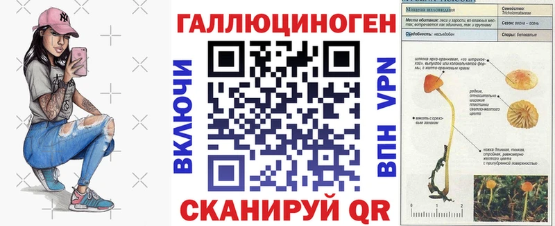 OMG как войти  Спас-Клепики  Галлюциногенные грибы MAGIC MUSHROOMS  наркотики 