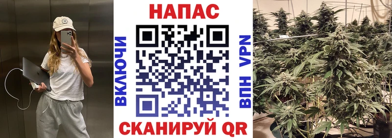 Бошки Шишки THC 21%  даркнет состав  Спас-Клепики 